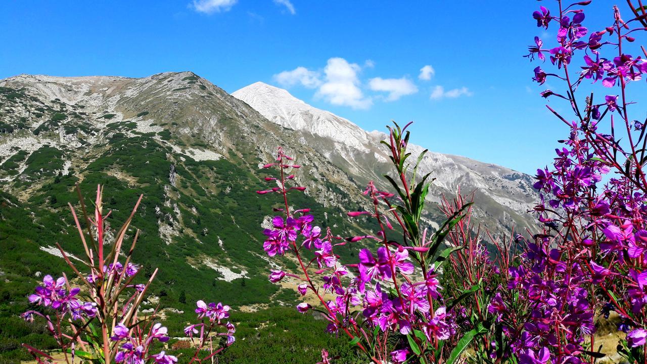 In Infinity Apartment Bansko